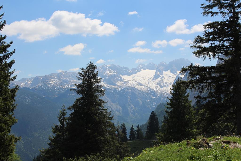Salzburger Dolomitenhof Annaberg im Lammertal Bagian luar foto