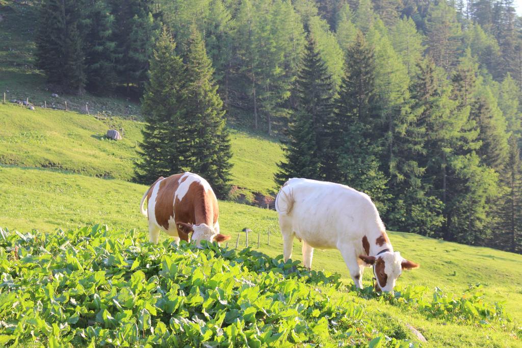 Salzburger Dolomitenhof Annaberg im Lammertal Bagian luar foto