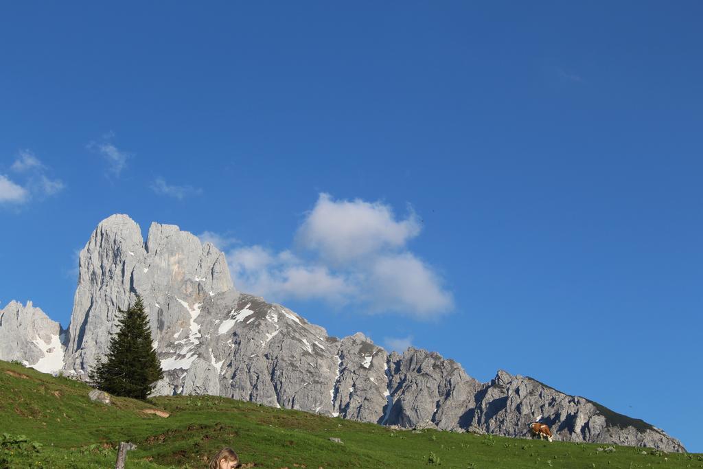 Salzburger Dolomitenhof Annaberg im Lammertal Bagian luar foto