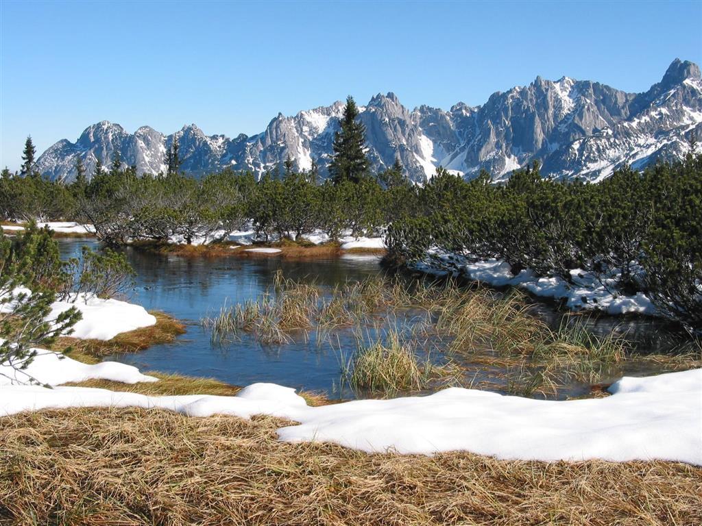 Salzburger Dolomitenhof Annaberg im Lammertal Bagian luar foto