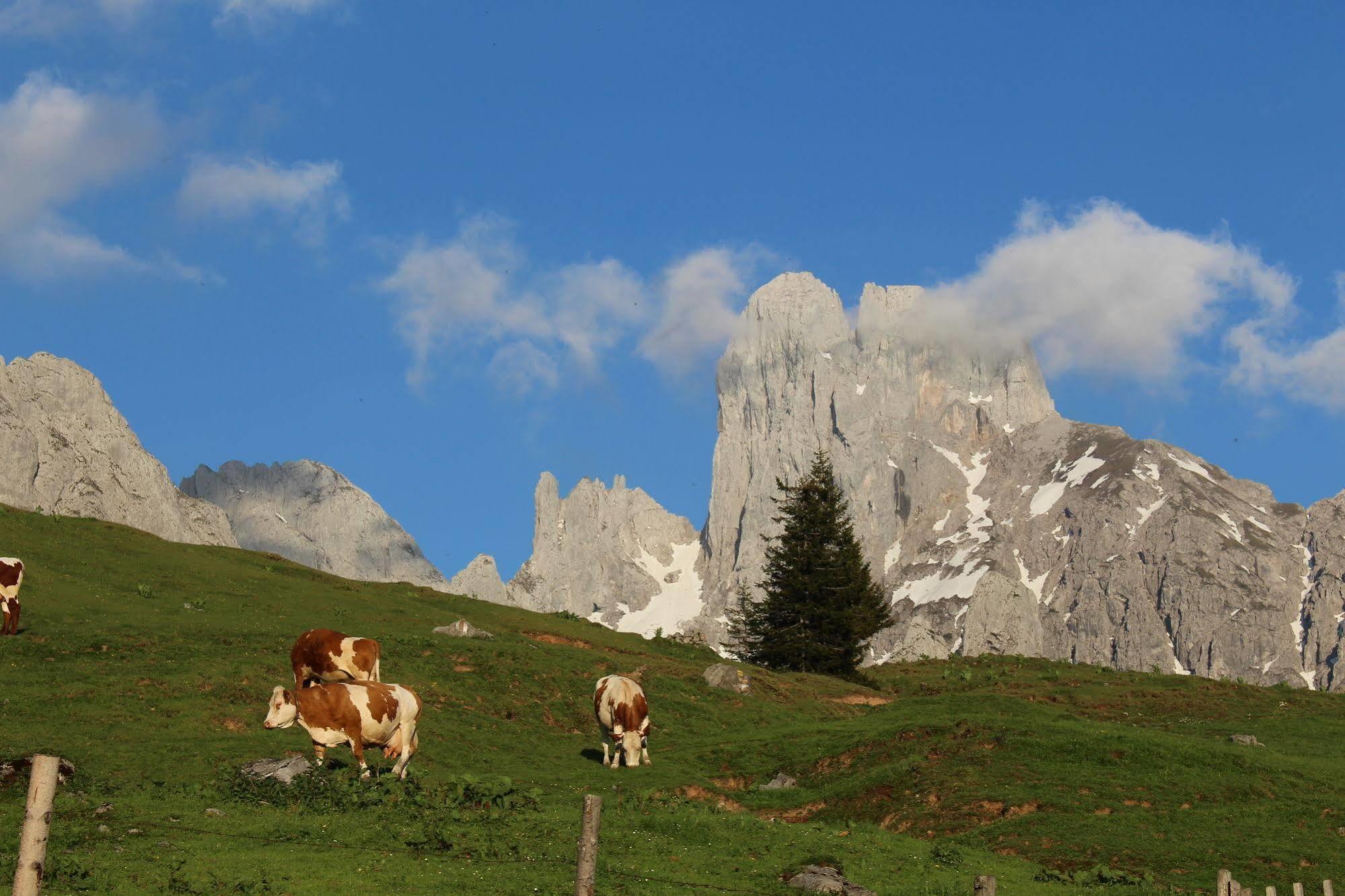 Salzburger Dolomitenhof Annaberg im Lammertal Bagian luar foto